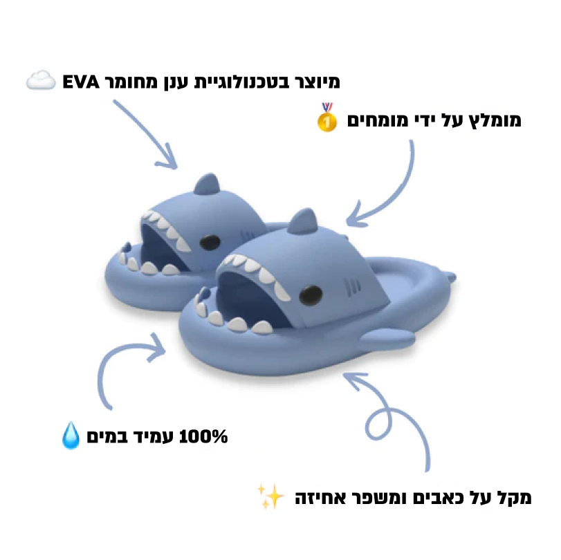 Sharky Slides - Premium Summer Slides